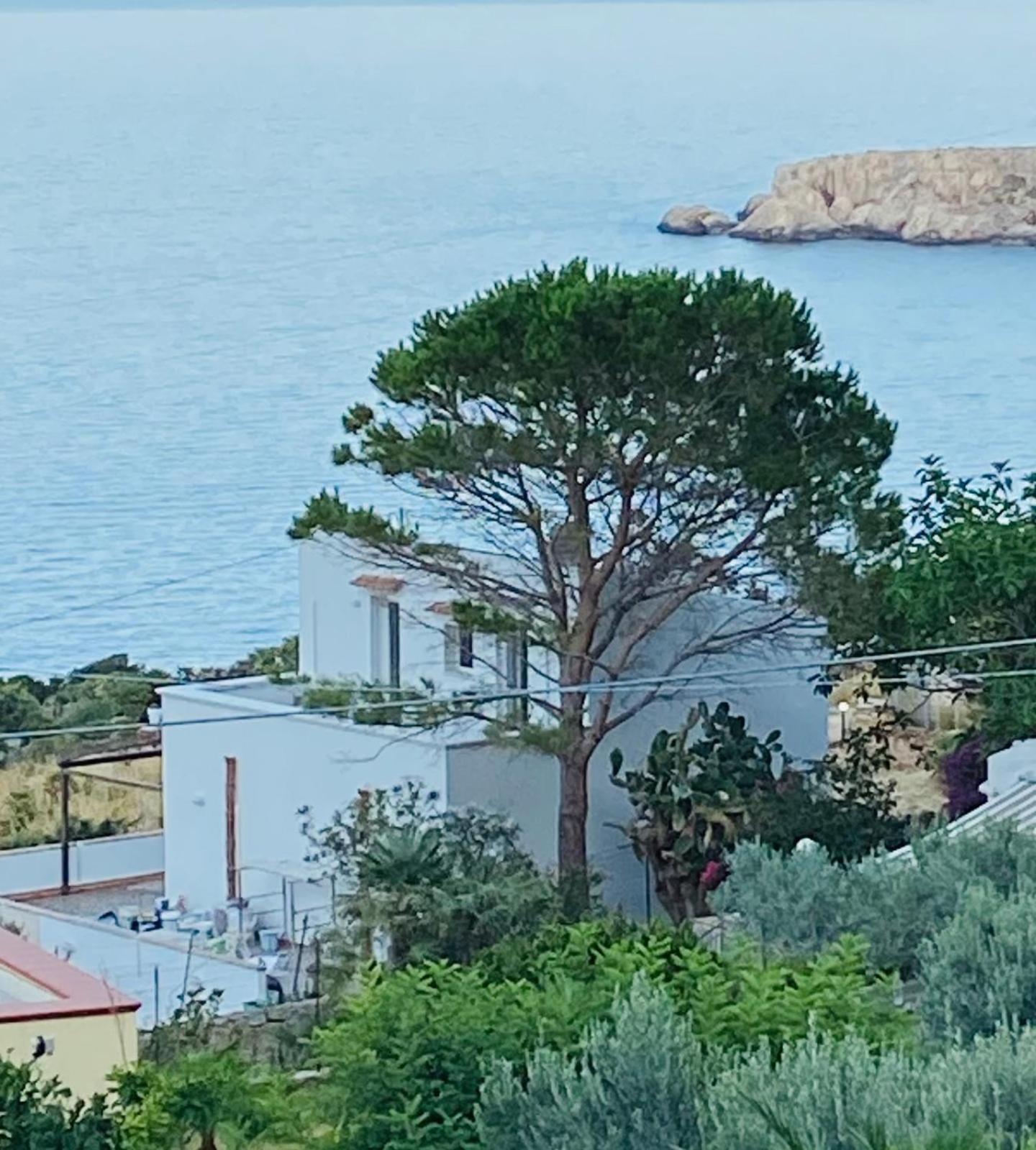 Villa Costanza سان فيتو لو كابو المظهر الخارجي الصورة